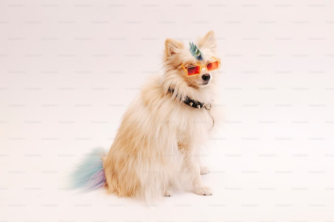 《猫和老鼠：星盘奇缘》汤姆杰瑞东方穿越局奇幻大战 暑期仅有纯粹合家欢轻松充值高兴